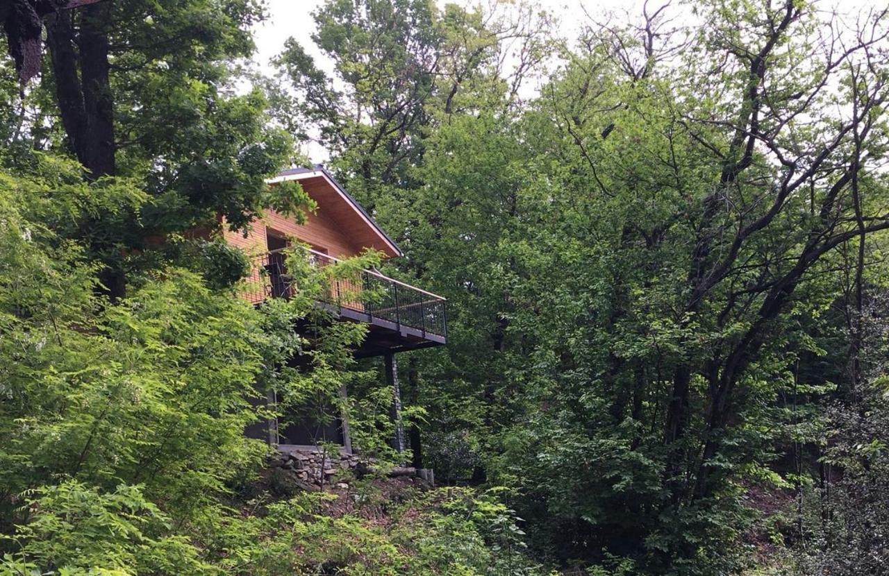 "La Romantica" Rifugio Nel Bosco Astano Екстериор снимка